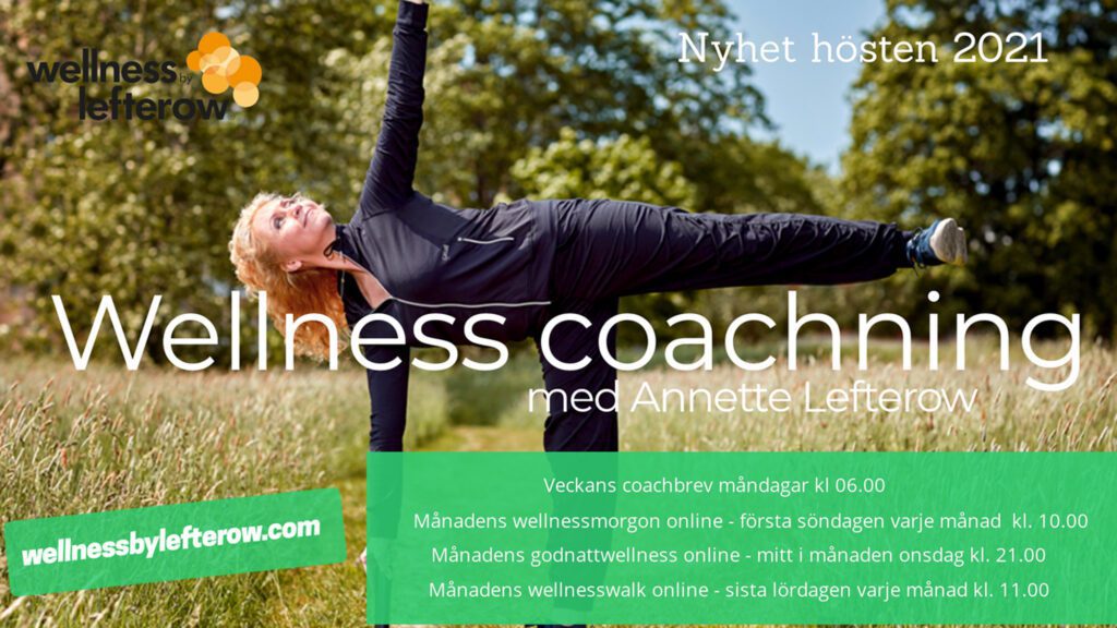 Picture shows autumn's range of wellness coaching with Annette Lefterow