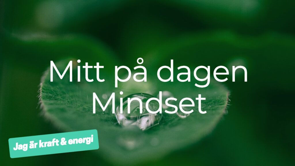 Bilden visar en meditation